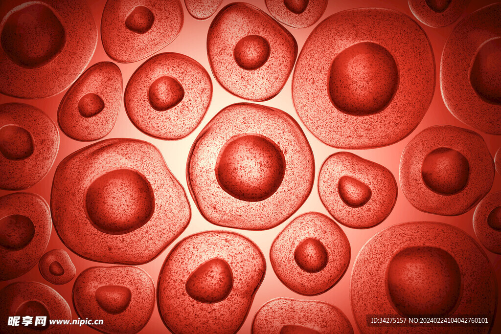 医疗生物科技细胞血小板