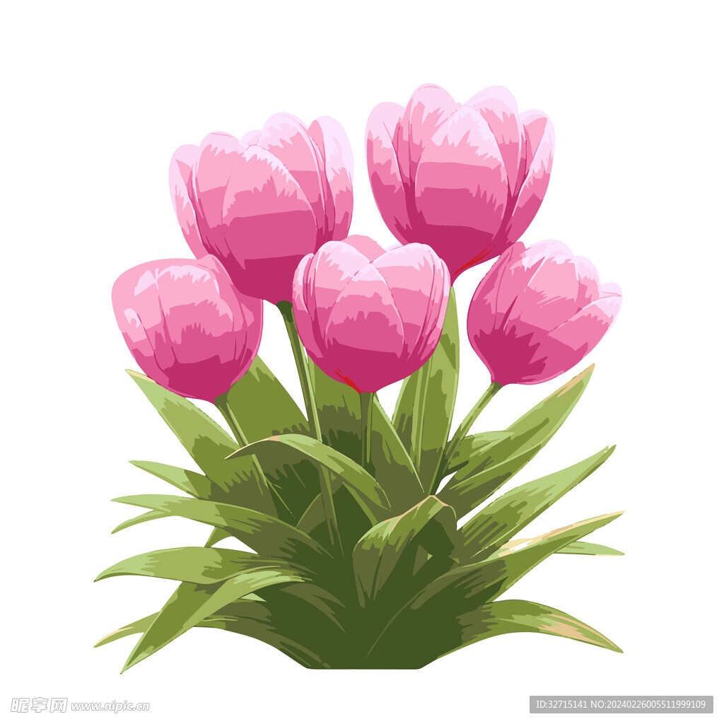 粉色郁金香花朵素材