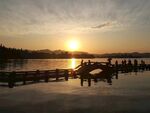 西湖残阳