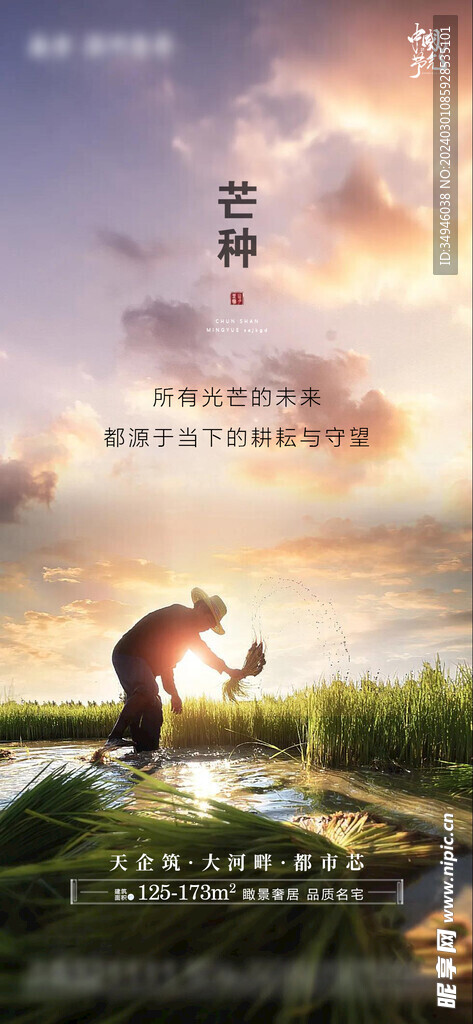 芒種海報(bào)           