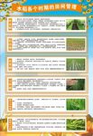 水稻种植管理技术
