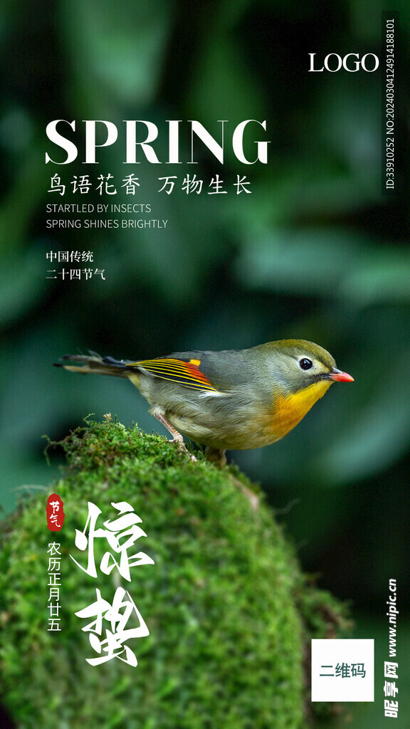 驚蟄海報24節氣二十四節氣麻雀