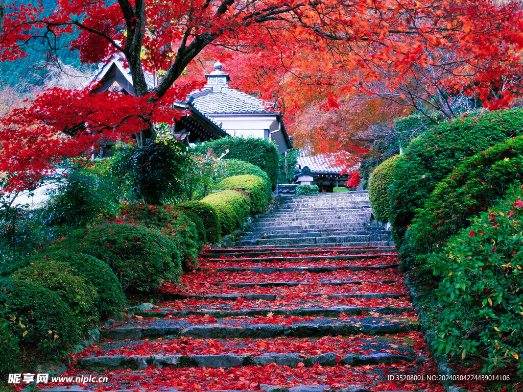 唯美风景