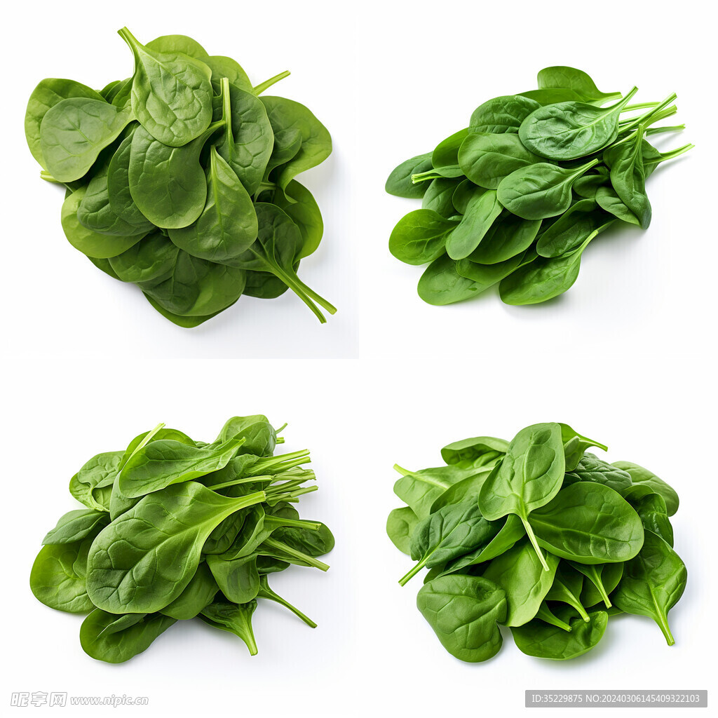 高清菠菜