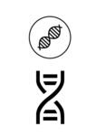 DNA图形