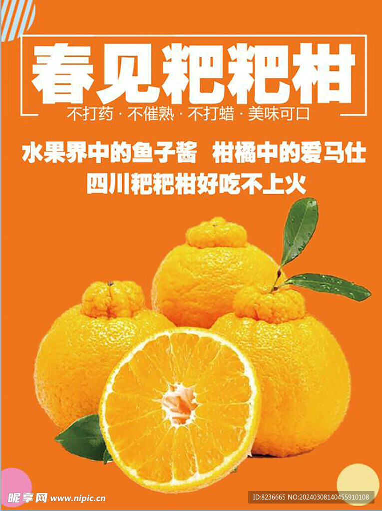 春見粑粑柑海報