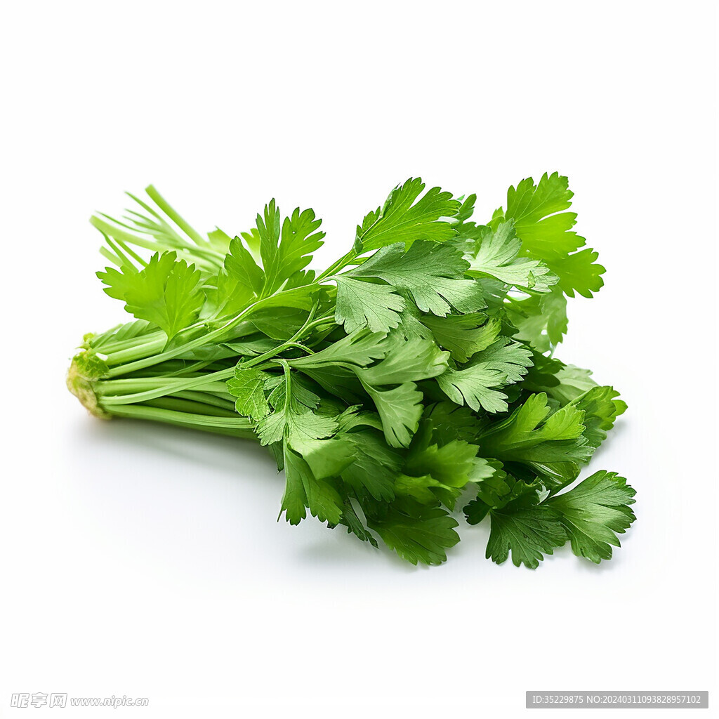高清香芹