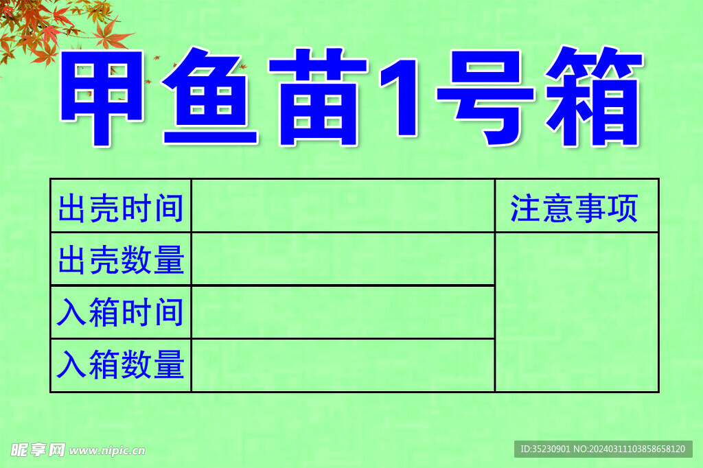 甲鱼苗1号箱