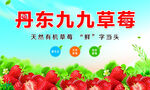 草莓广告海报