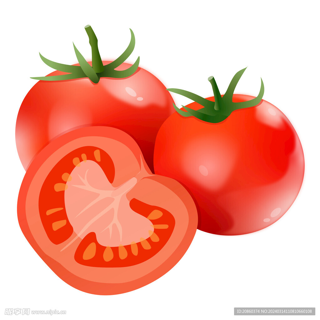 西红柿红色番茄切开蔬菜水果手绘
