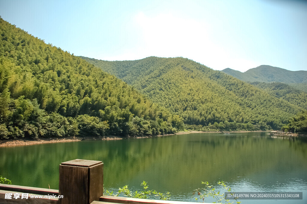 南山竹海竹林山水