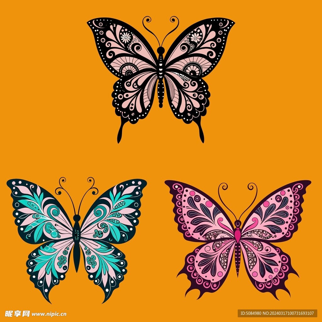 花纹绚丽的蝴蝶组图