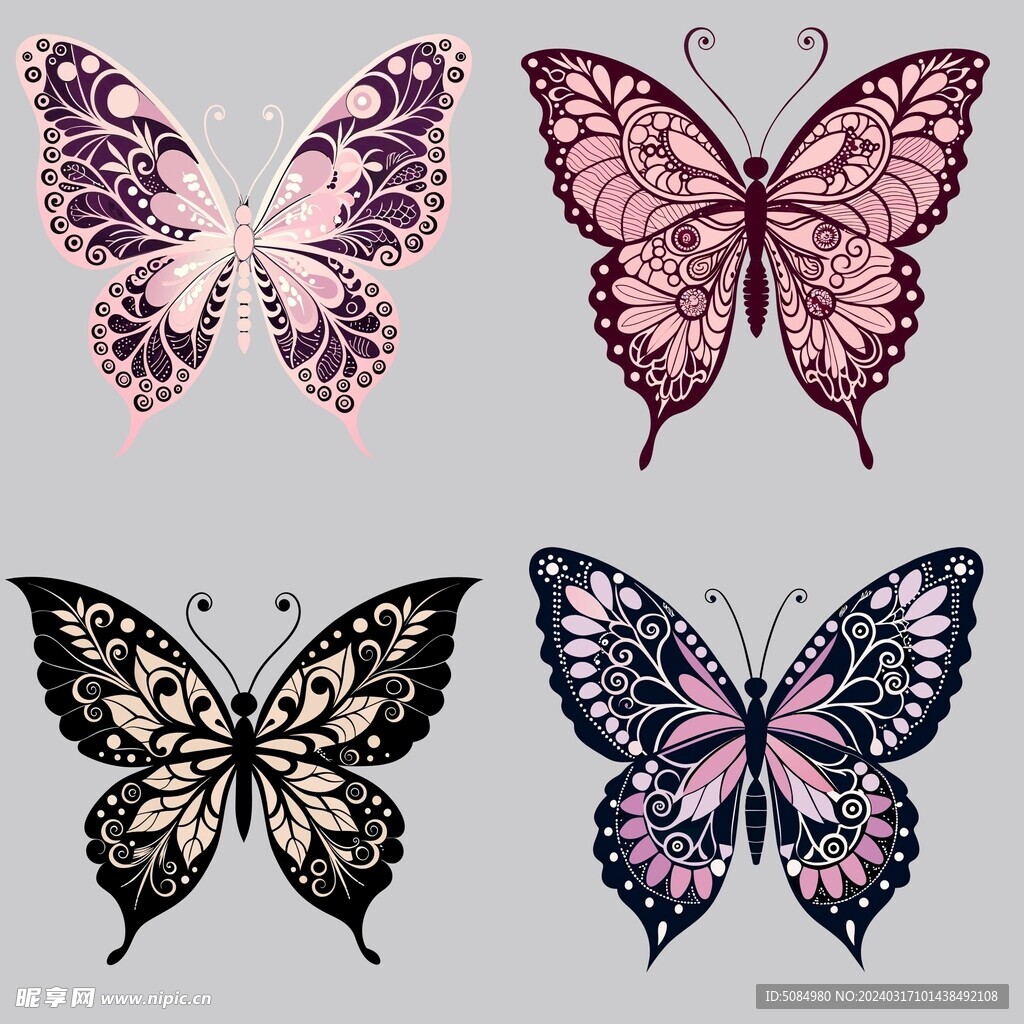 蕾丝花纹的蝴蝶组图