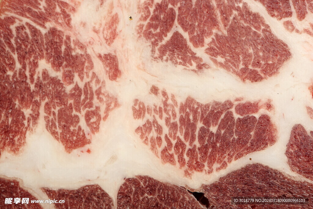           豬前腿肉 