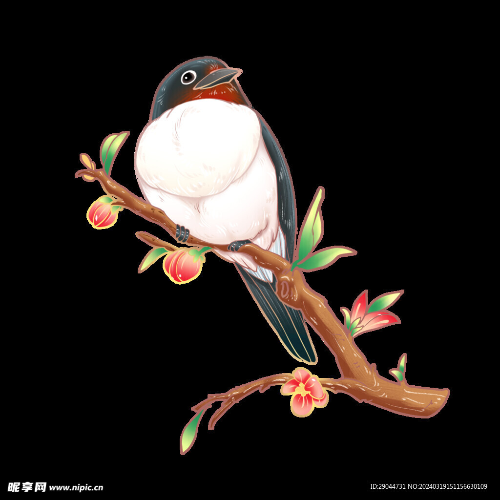 鳥