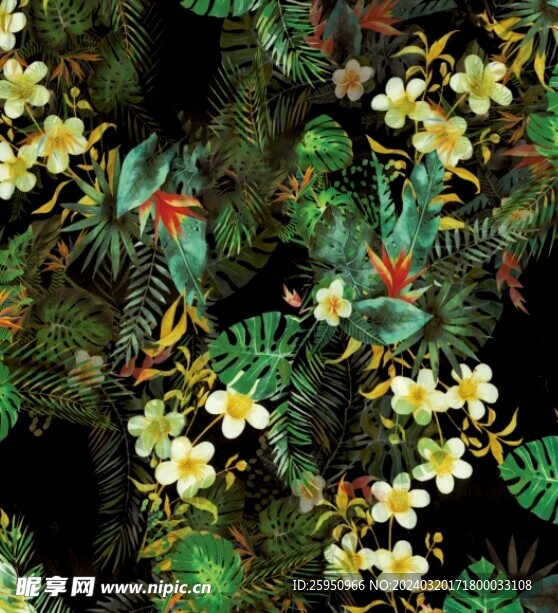 热带植物花