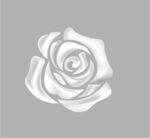 3D立体玫瑰