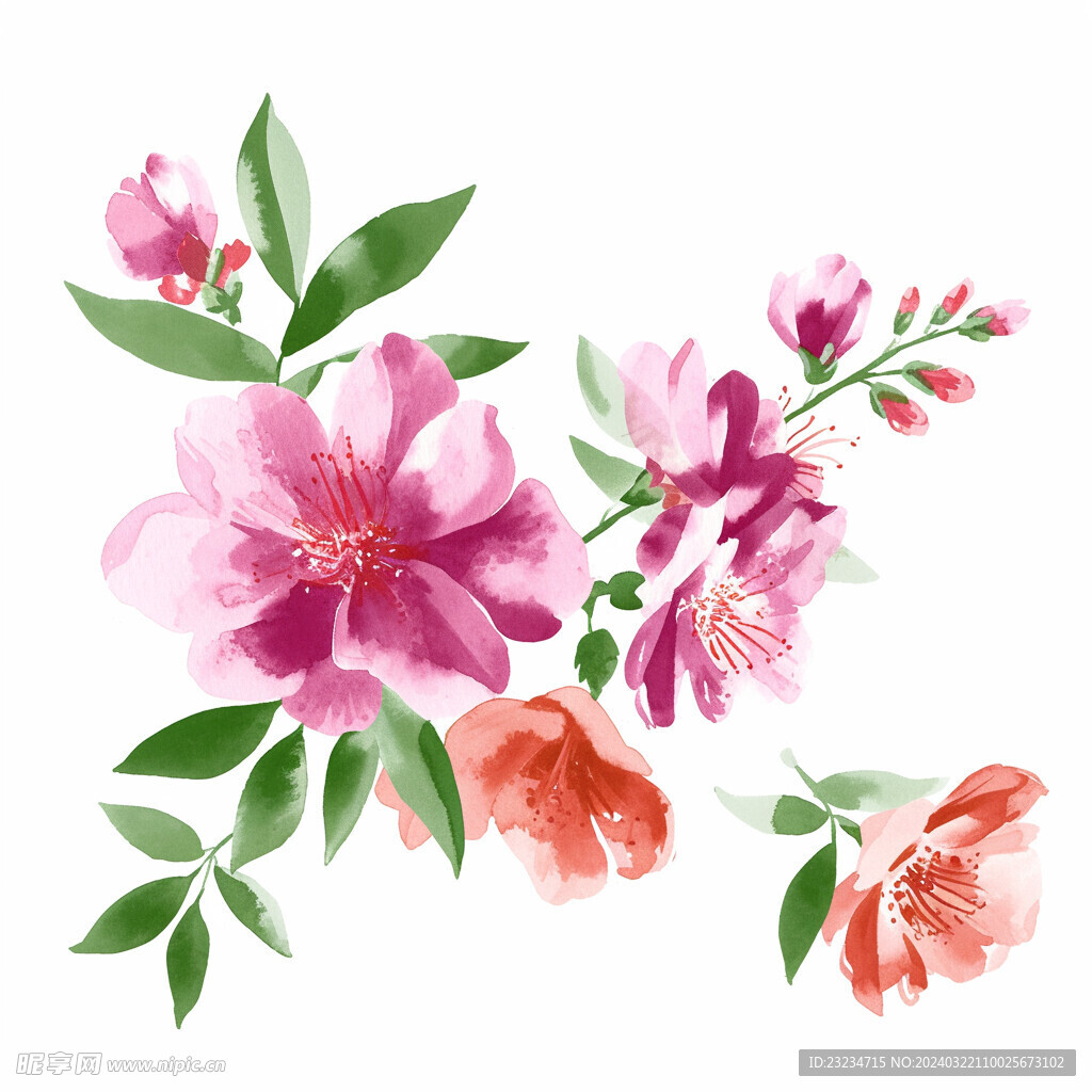 水彩花卉