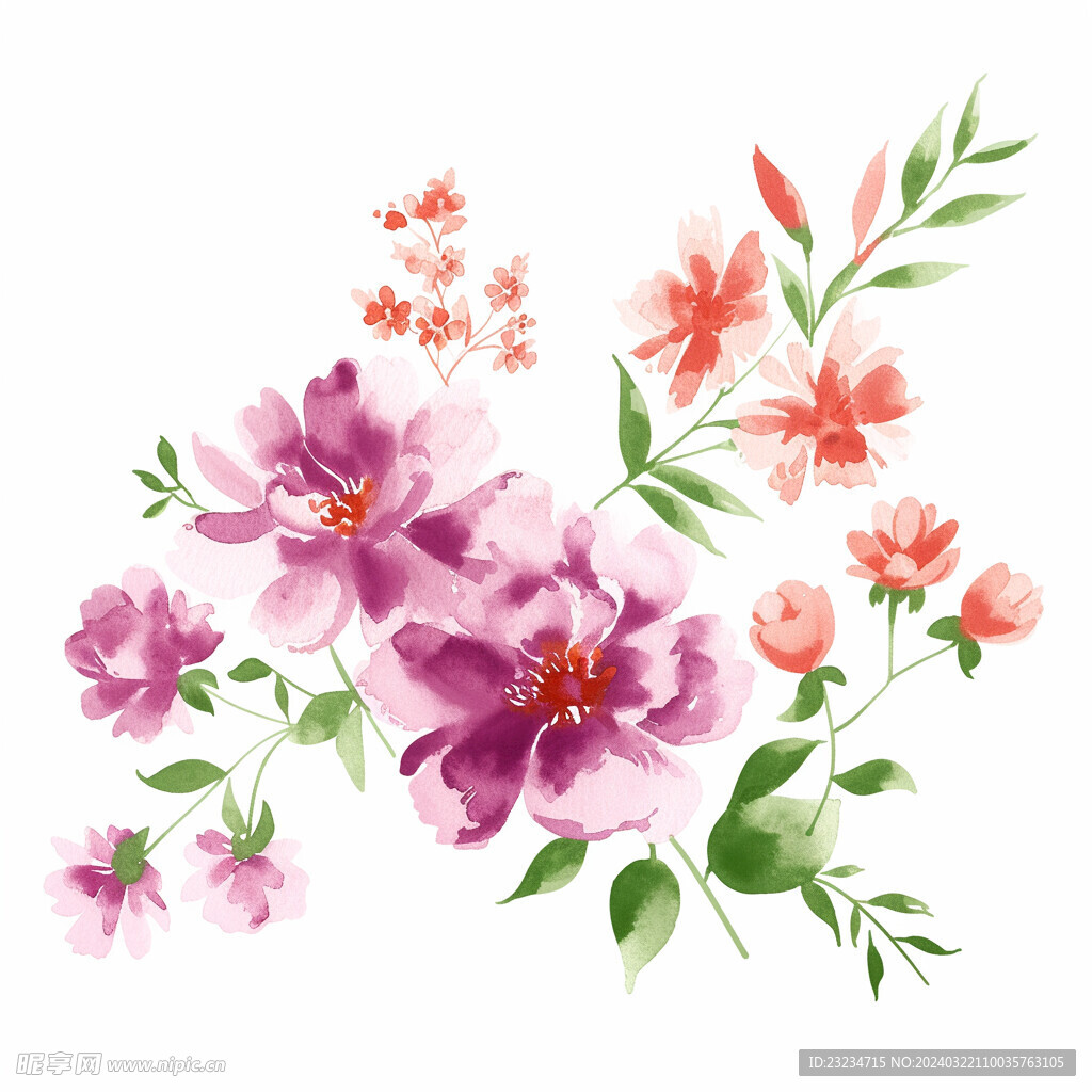 水彩花卉