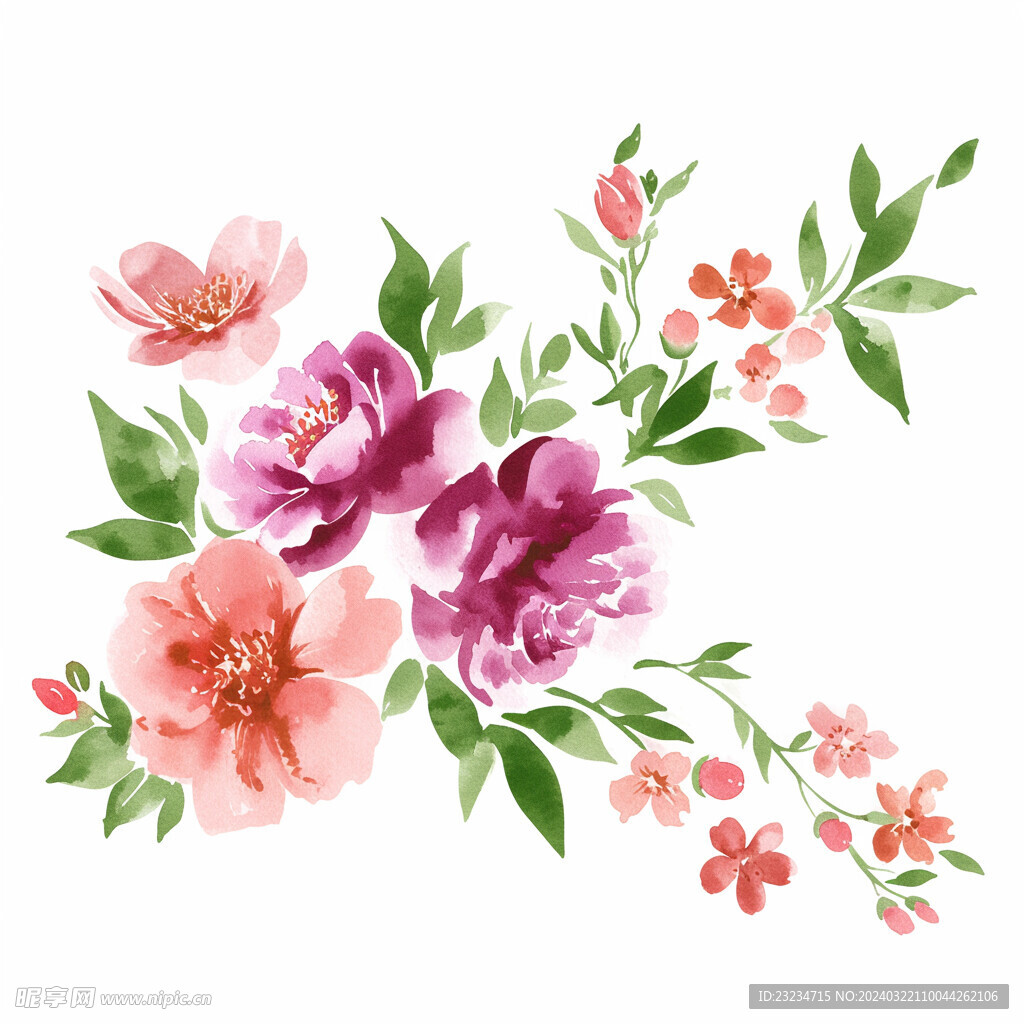 水彩花卉