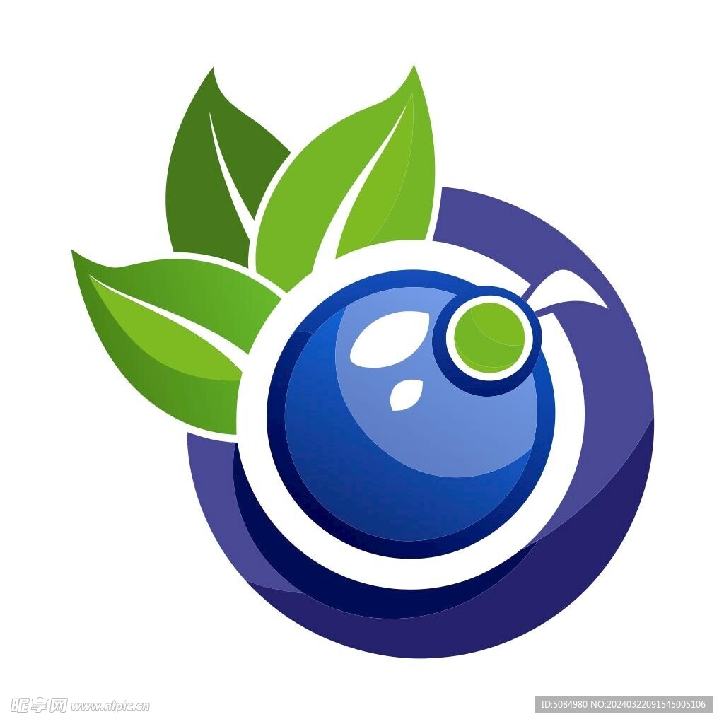 蓝莓 logo