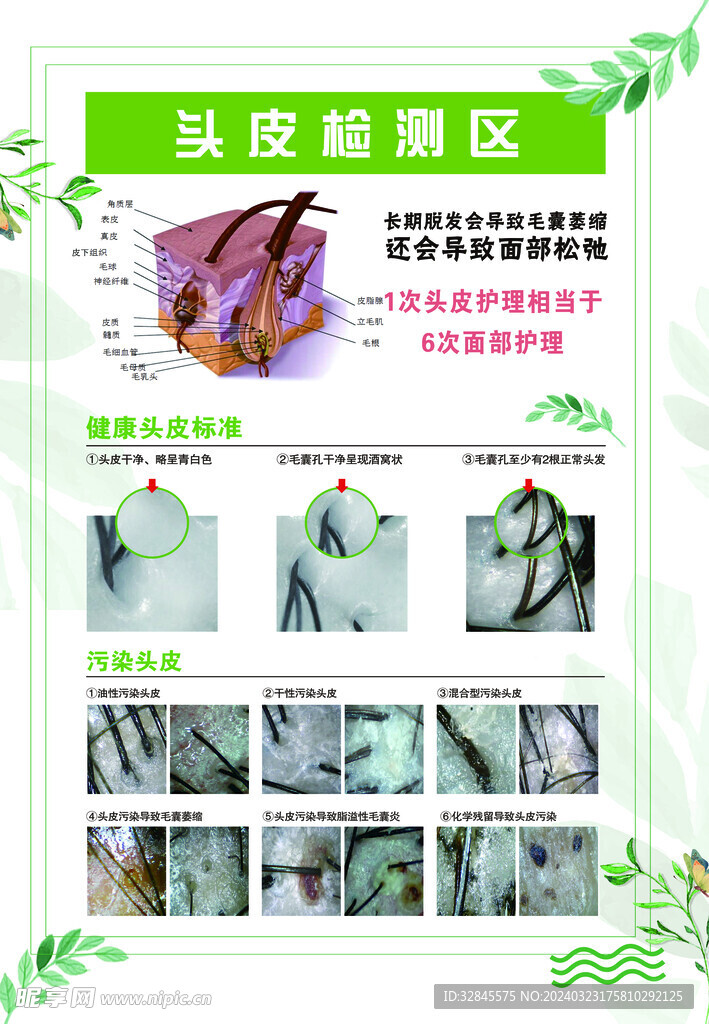 頭皮檢測