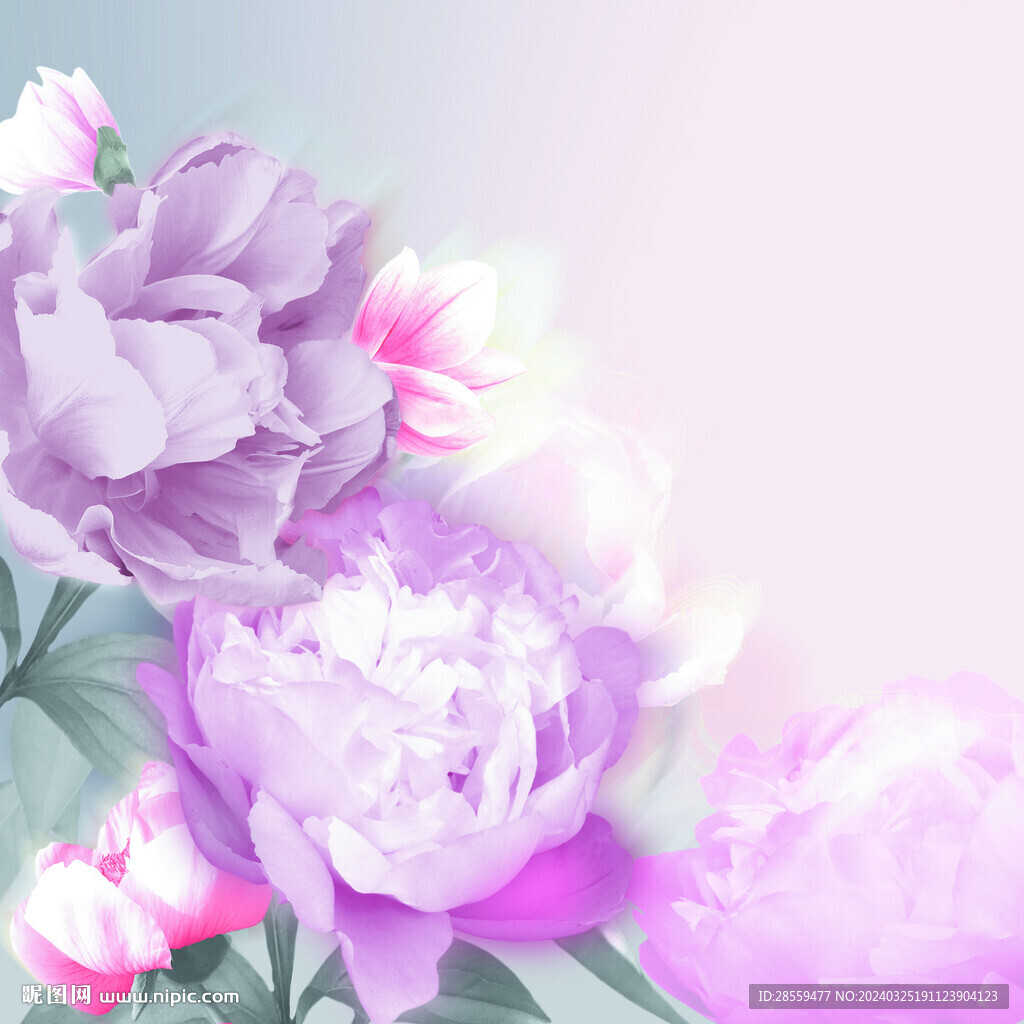 定位粉花