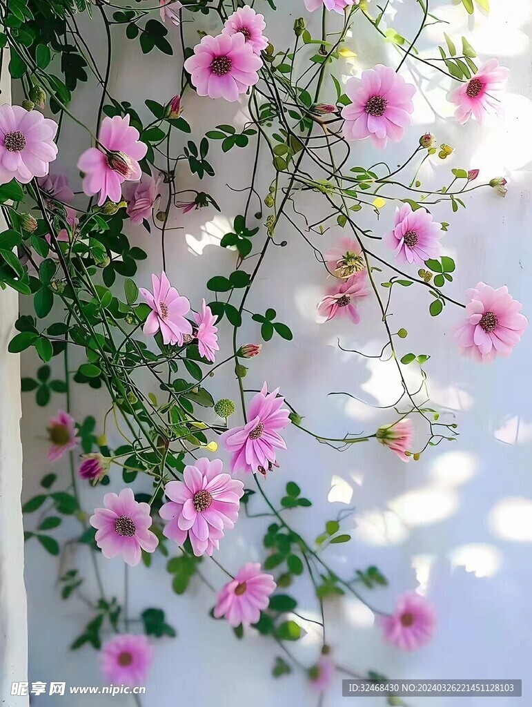 粉色鮮花