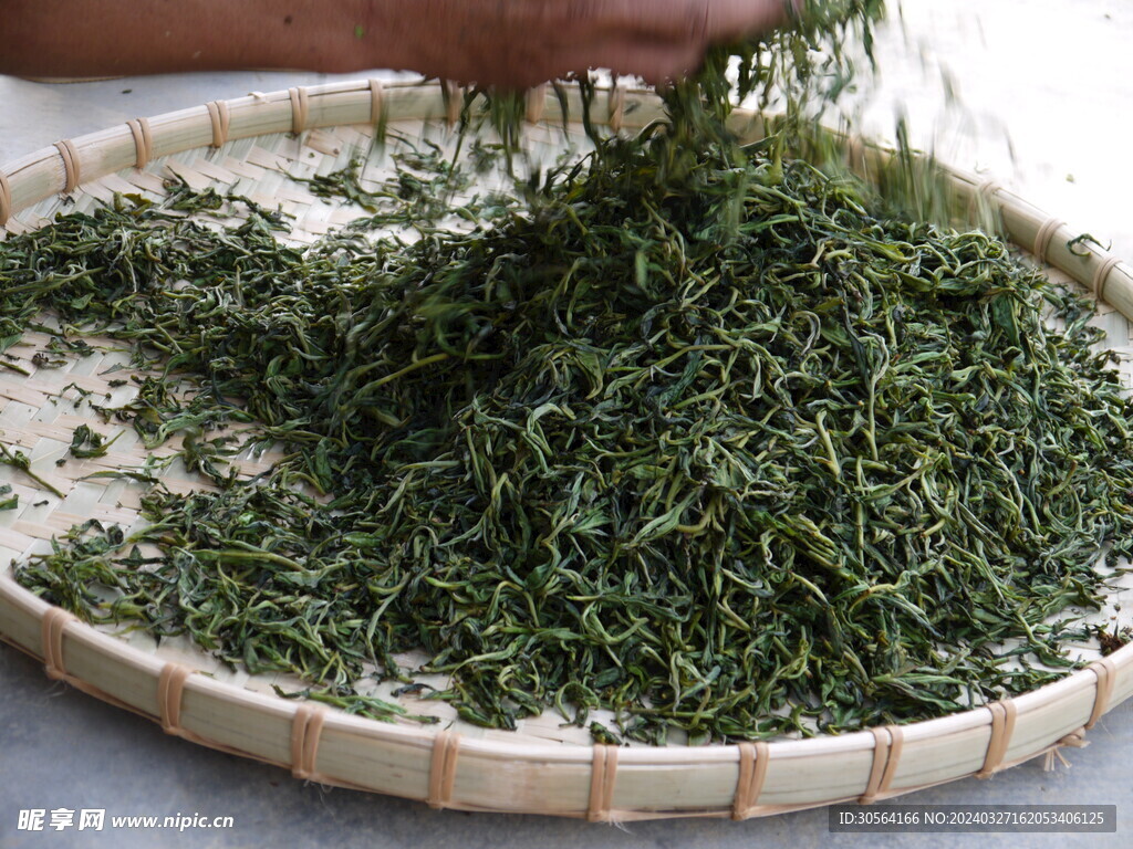 制茶炒茶
