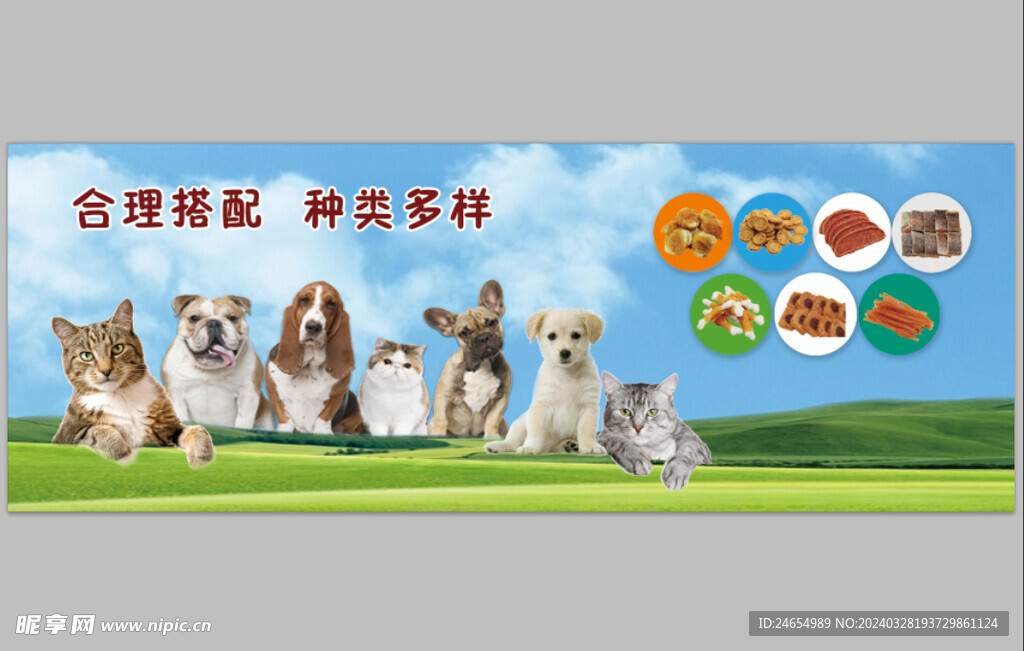 宠物海报 萌犬