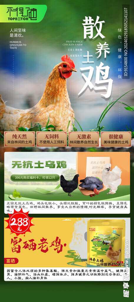 散養(yǎng)雞