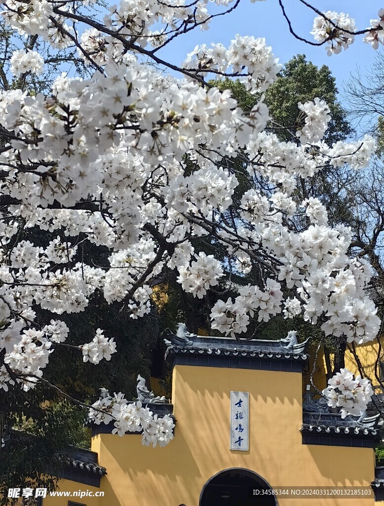 鸡鸣寺