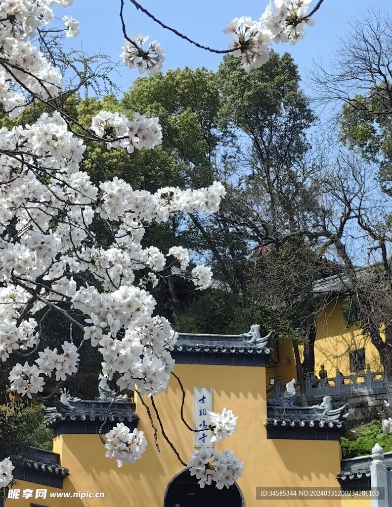 鸡鸣寺