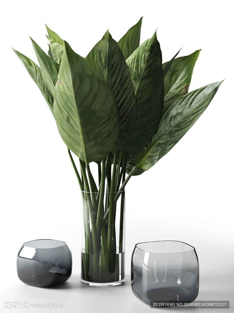 C4D模型 花瓶