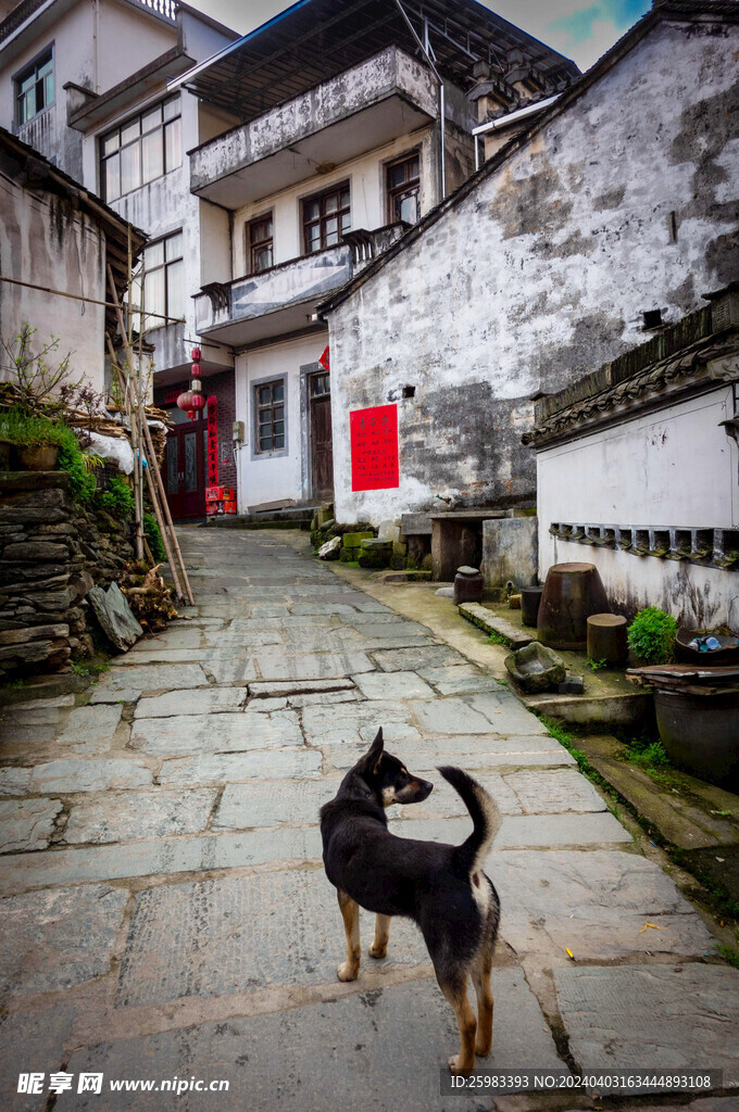古鎮旅游