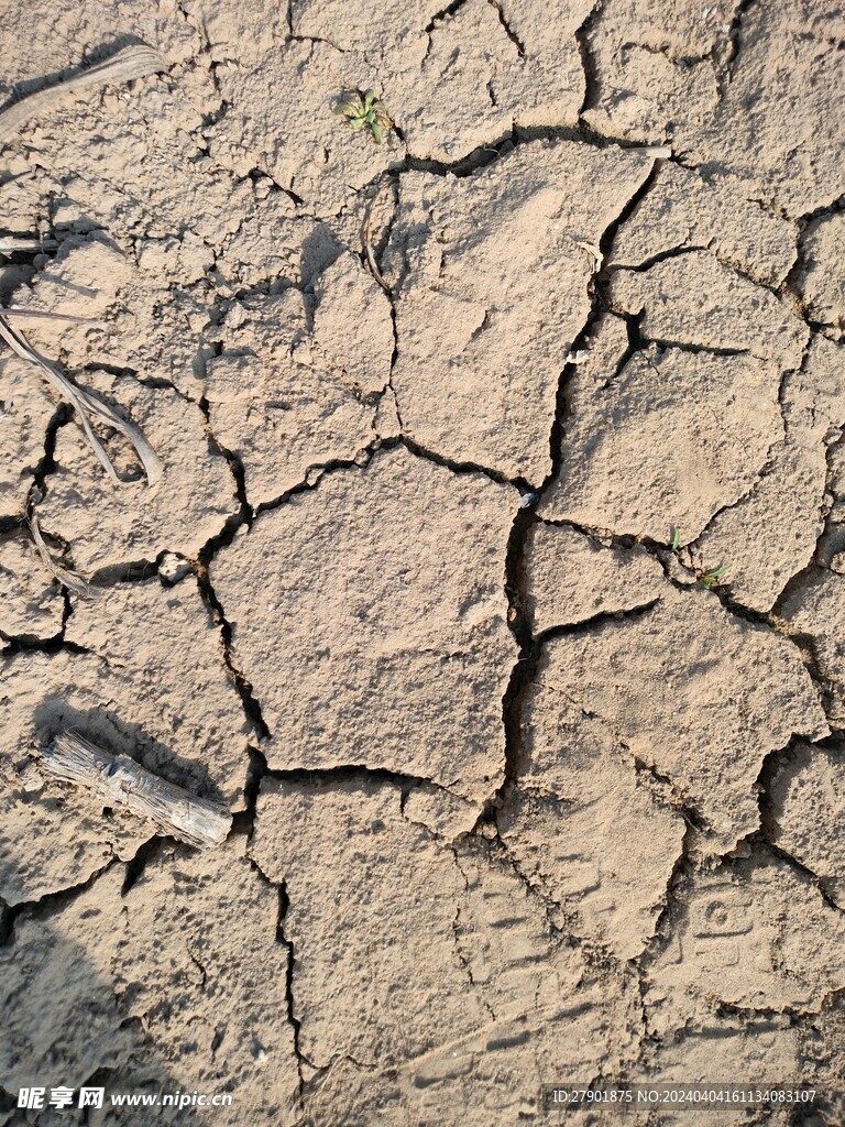 皲裂 龟裂 干旱的土地