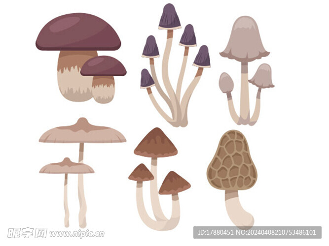 蘑菇合集