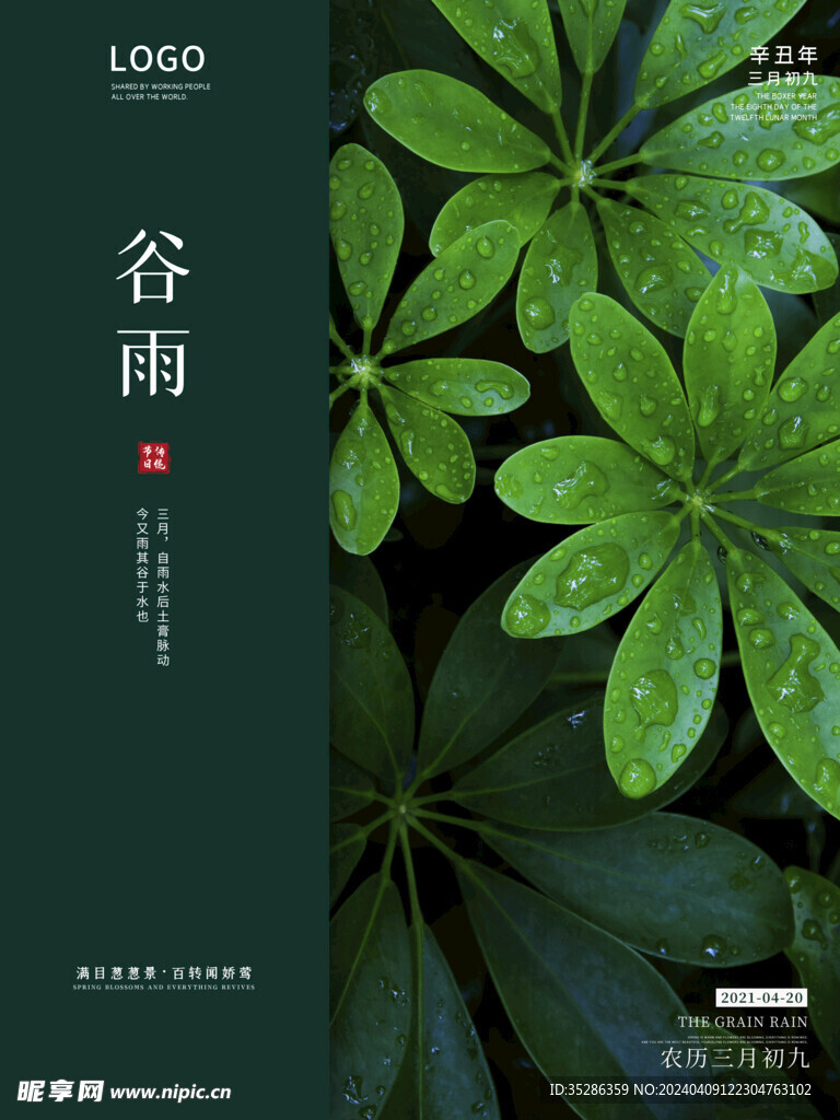 谷雨主題