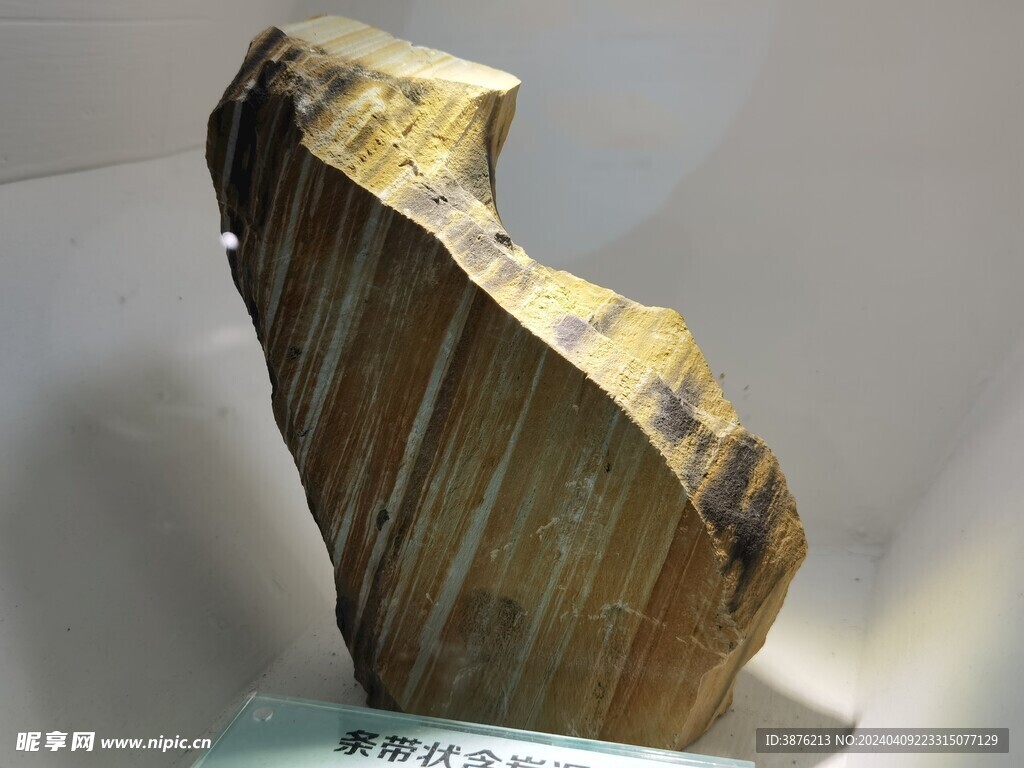 條帶狀含炭巖樣本