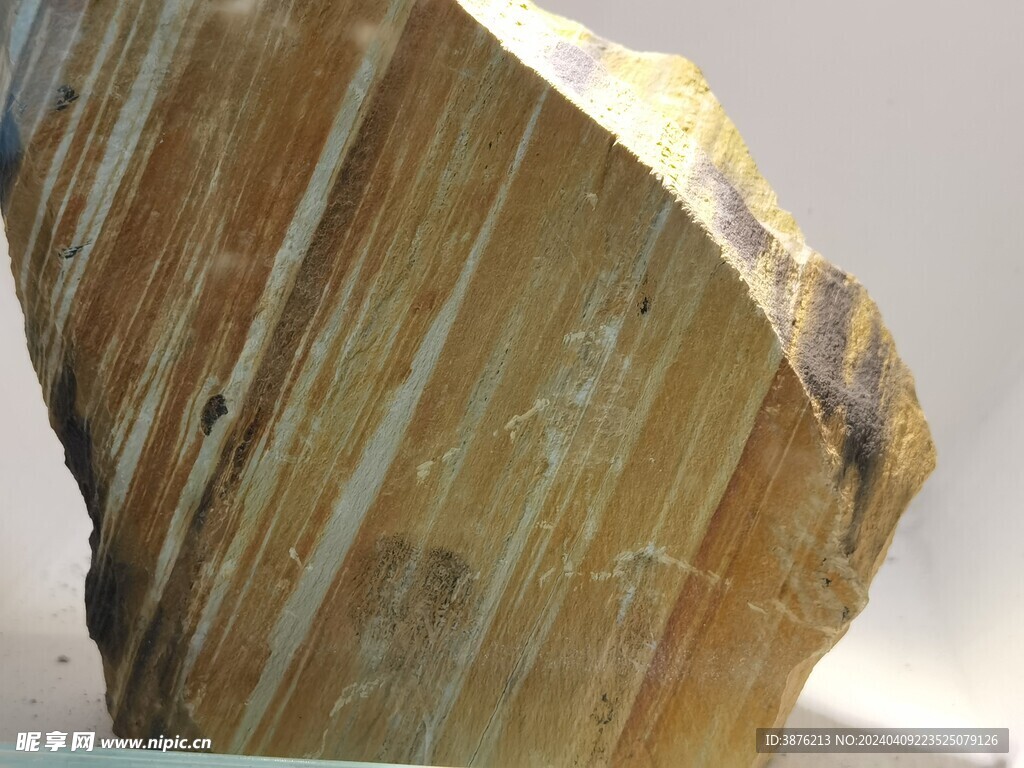 條帶狀含炭巖樣本
