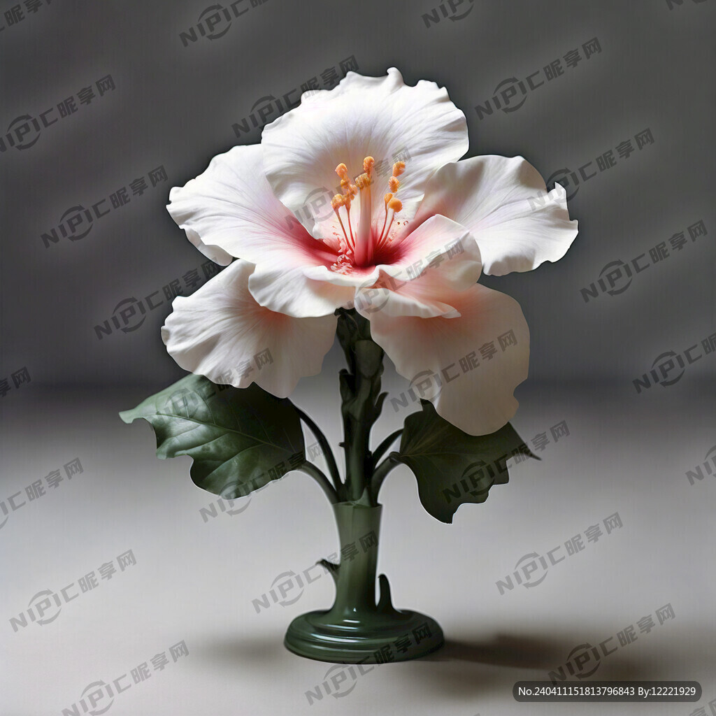 用芙蓉花生成幾標志
