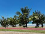 三亚海滩椰子树摄影图片