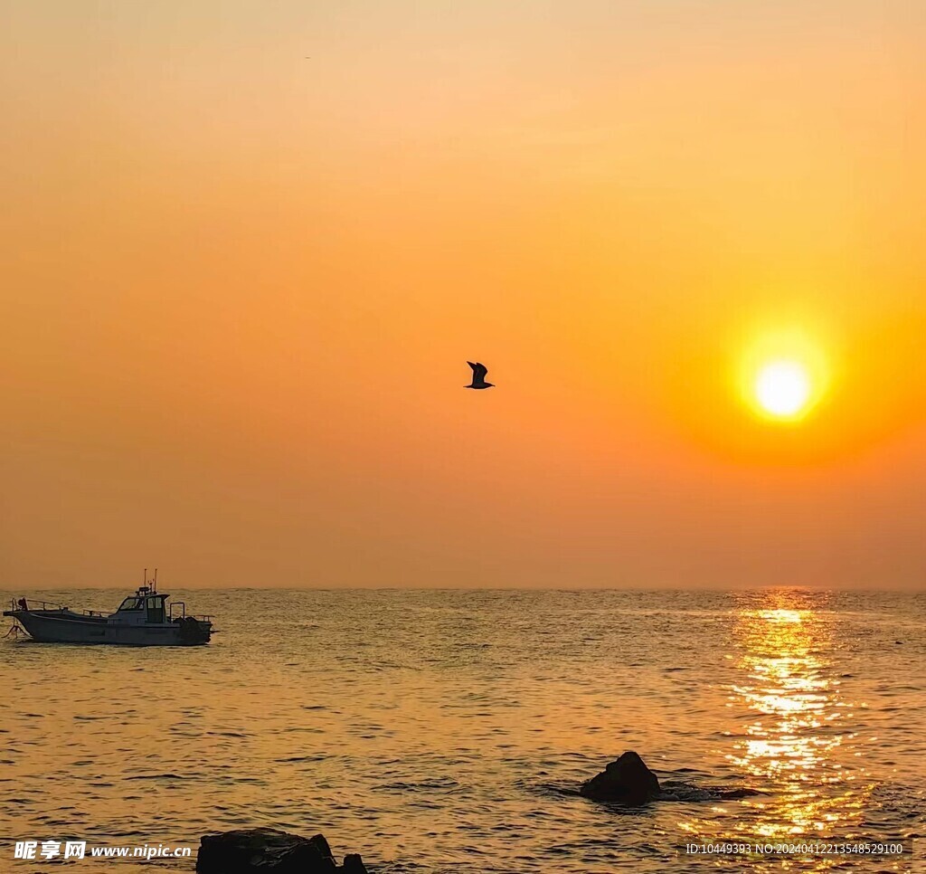 大海