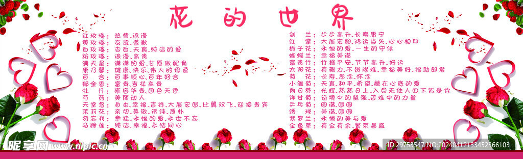 花的世界