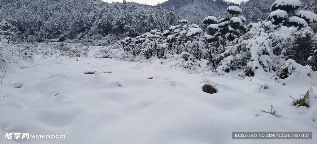 雪景