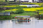 田园山水风光