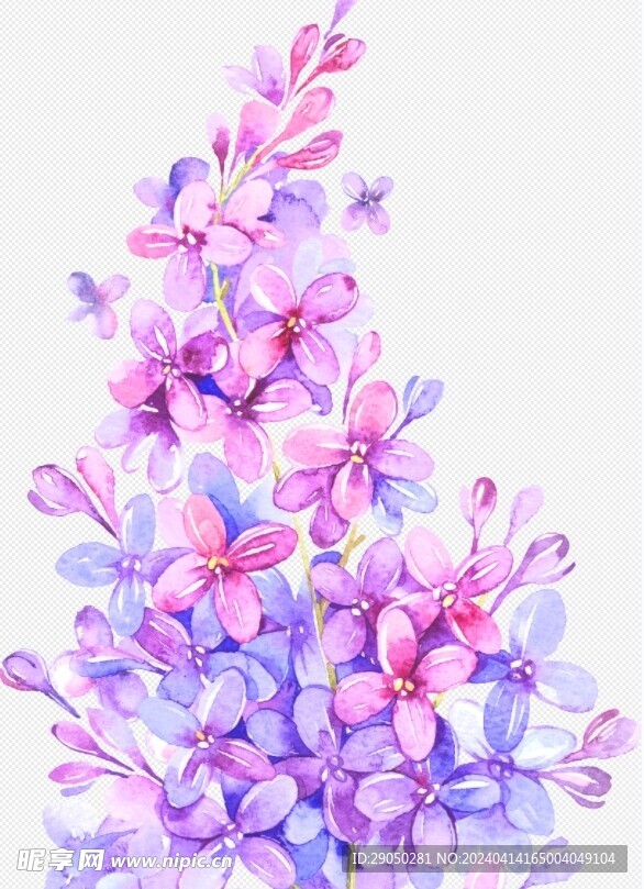一朵粉色花