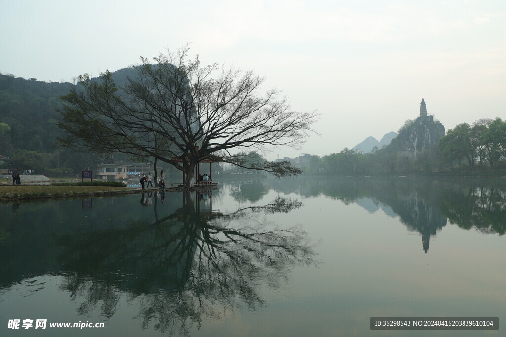 桂林 穿山公园 