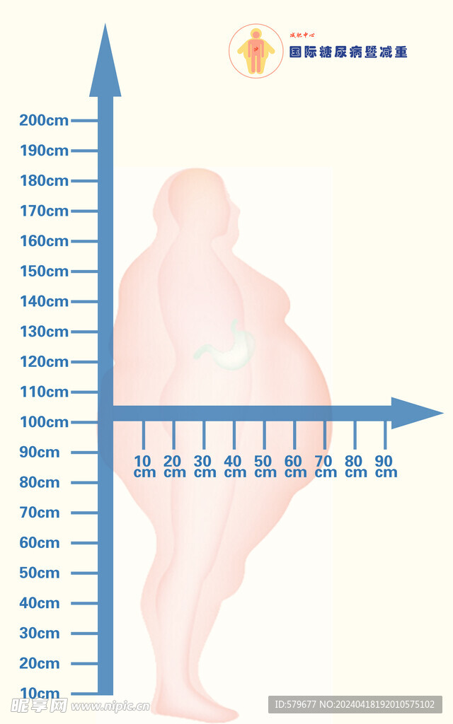 肥胖测量尺