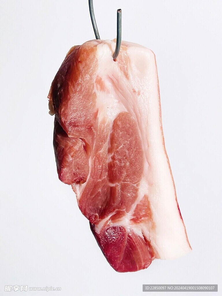 豬肉圖片 